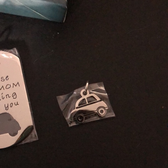 Aeolussoms key chain​ - Picture 3 of 5